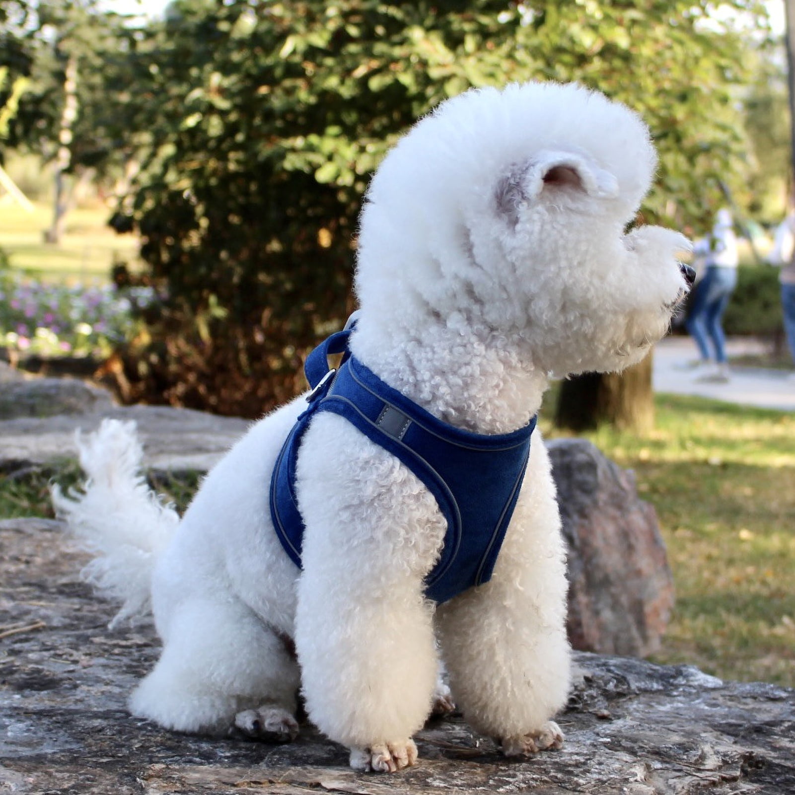 TidBay Pet Cat Safety Vest Harness Adjustable Traction Rope with