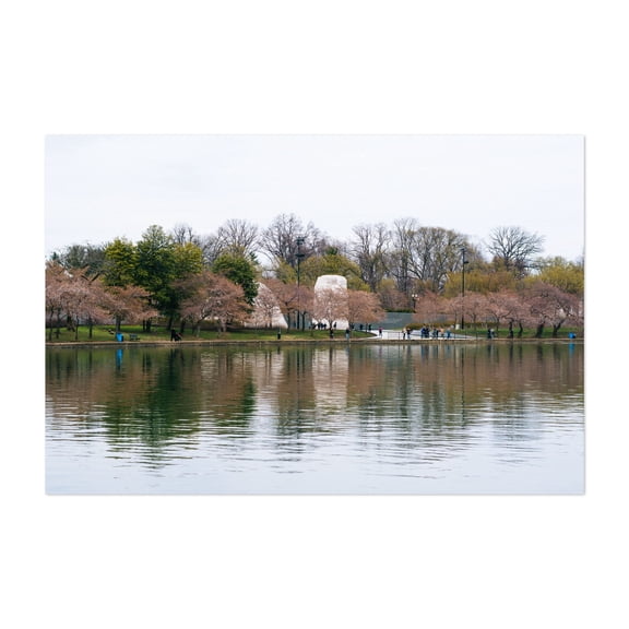 Tidal Basin Blossoms 02 - Washington District of Columbia Photography Unframed Wall Art Print 16 x 24 inches