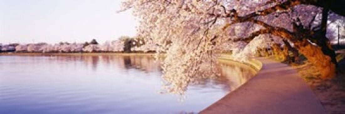 Tidal Basin Washington DC District Of Columbia USA Canvas Art - Panoramic Images (18 x 6)