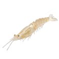 thumbnail image 1 of Strike King Tidal Shrimp 2.75" Gold Rush, 1 of 1
