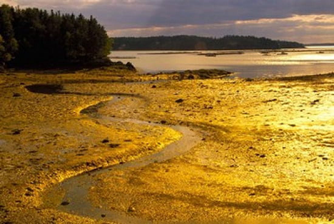 Tide at Sunset on Campobello Island Canvas Art - Julie Eggers DanitaDelimont (27 x 18)