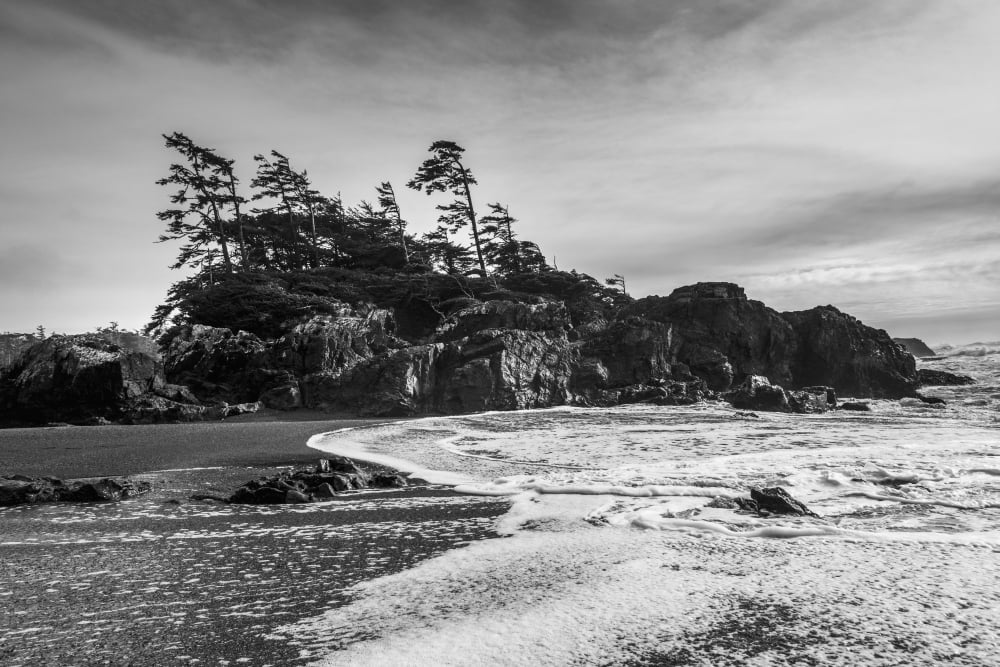 Tide coming in along the coast under a cloudy sky Tofino British Columbia Canada Canvas Art - Keith Levit Design Pics (19 x 12)