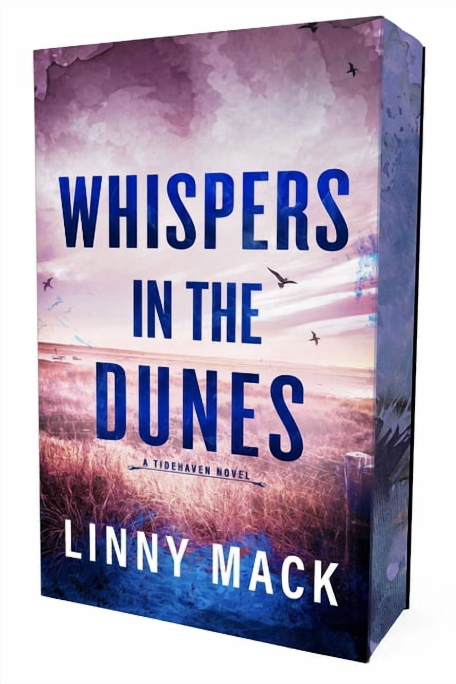 Tidehaven Whispers in the Dunes: Special Edition, Book 2, (Paperback)