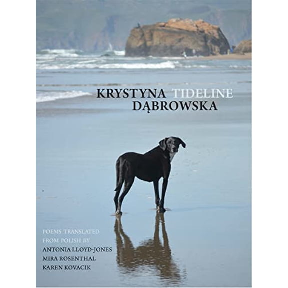 Pre-Owned Tideline (Paperback) 1938890884 9781938890888