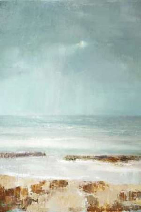 Tideline Canvas Art - Caroline Gold (12 x 18)