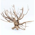 thumbnail image 1 of Tideline Naturescapes Pine Root, 1 of 2