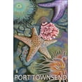 thumbnail image 1 of Tidepool, Port Townsend, WA (9x12 Wall Art Print, Home Decor), 1 of 3