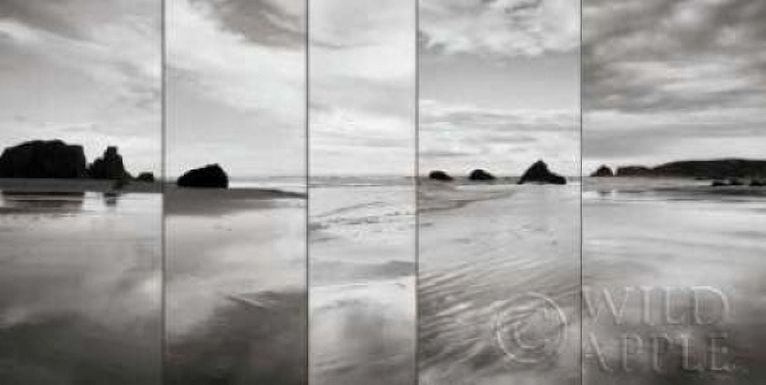 Tides on Bandon Beach Canvas Art - Alan Majchrowicz (10 x 20)