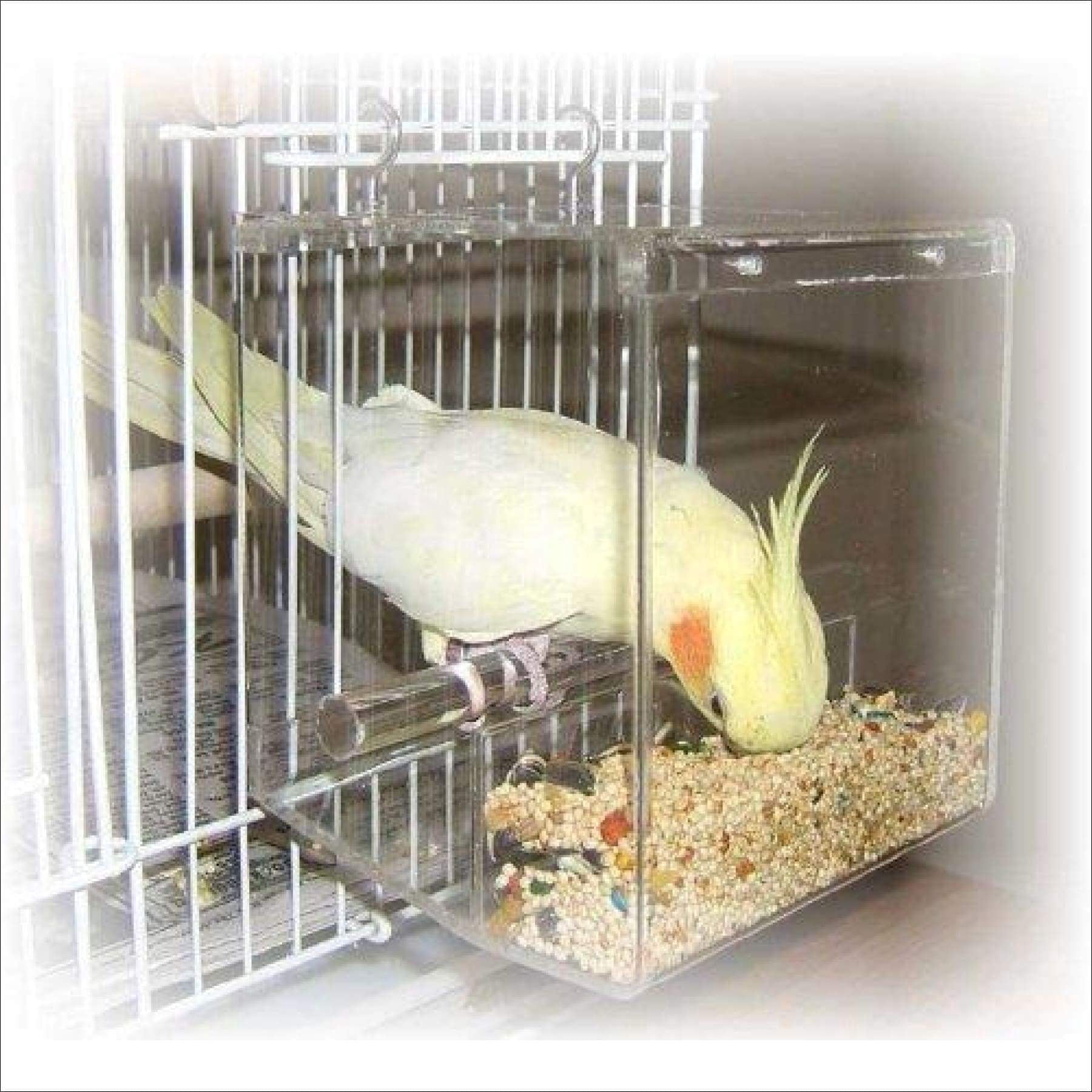 Tidy Seed No-Mess Bird Feeder for Small Birds, Spill-Resistant Cage Feeder to Help Keep Seed Inside for Budgies, Canaries, Finches, Lovebirds & Parrotlets