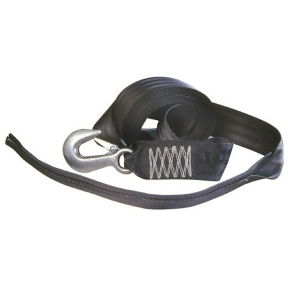 Tie Down Engineering 50472 2 in. x 20 ft. Winch Strap with Tail