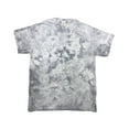 thumbnail image 1 of Tie-Dye 1390 Crystal Wash T-Shirt, 1 of 4
