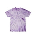 thumbnail image 1 of Tie-Dye CD101 Adult 5.4 oz. 100% Cotton Spider T-Shirt, 1 of 1