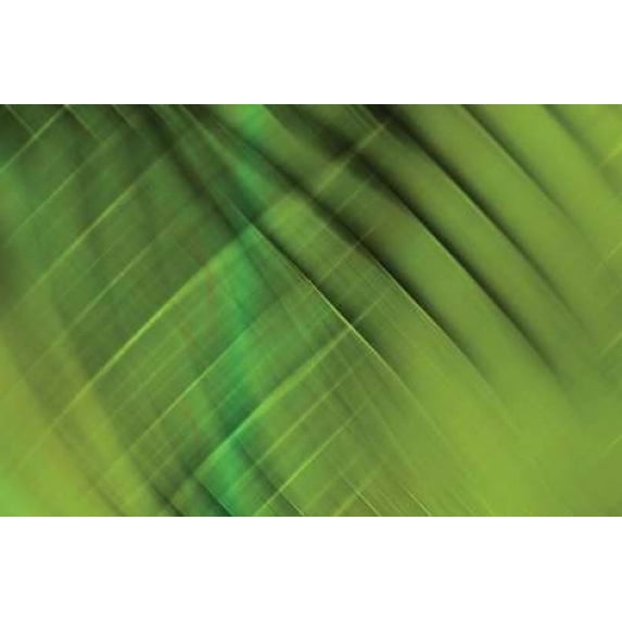Tie Dye IV Poster Print by PI Studio (12 x 18)