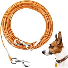 20 foot dog tie out discount