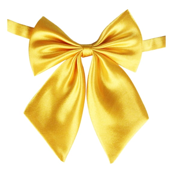 Tie Set Men Ties Set Bag Ties Duvet Bow for Men Self Tie Head for Women Elegant Solid Color Polyester Silk Bow Student Career Attache And Flight Attendant