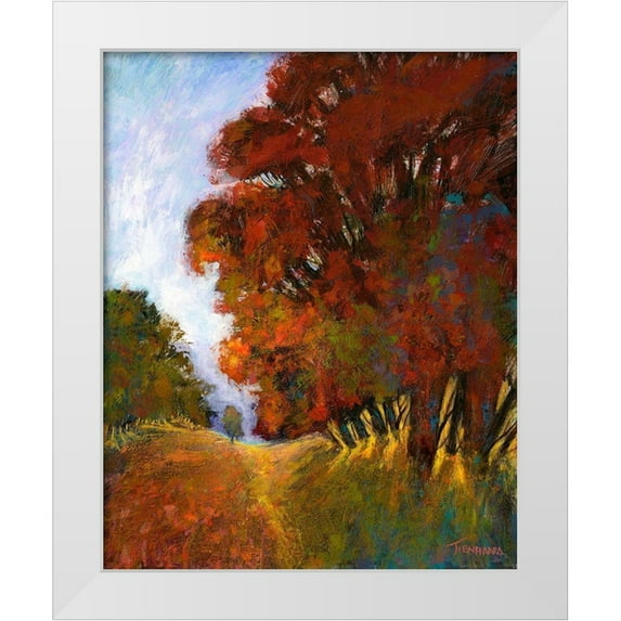 Tienhaara, Michael 20x24 White Modern Wood Framed Museum Art Print Titled - Falls Romance II