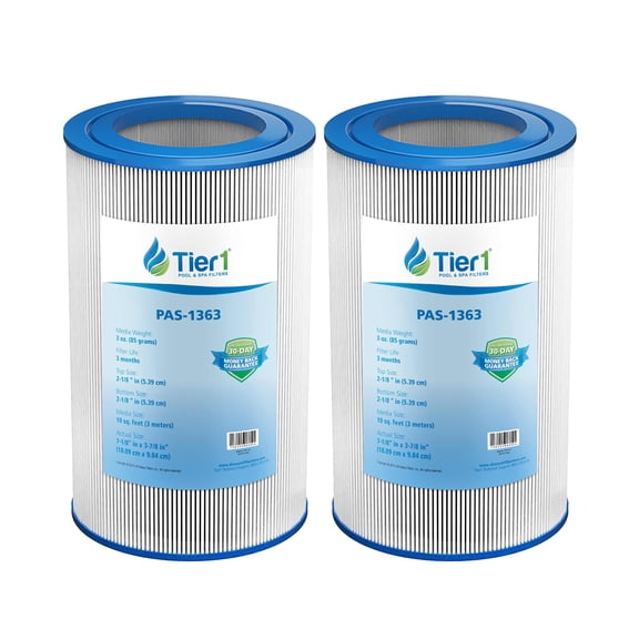Tier1 Pool & Spa Filter Cartridge 2-pk | Replacement for Master Spa X268057, Eco-Pur, Pleatco PMA10-M, Unicel C-3310AM, Filbur FC-1001M and More | 10 sq ft Pleated Fabric Filter Media