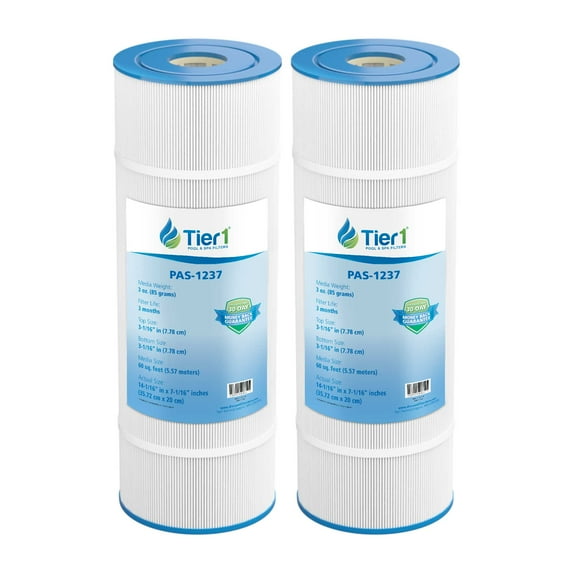 Tier1 Pool & Spa Filter Cartridge 2-pk | Replacement for Pentair 17-4983, Pac Fab 60, Pleatco PFAB60, Filbur FC-1930, Unicel C-7660 and More | 60 sq ft Pleated Fabric Filter