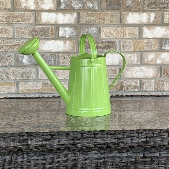 Tierra Garden 2.1 Gallon Green Metal Watering Can