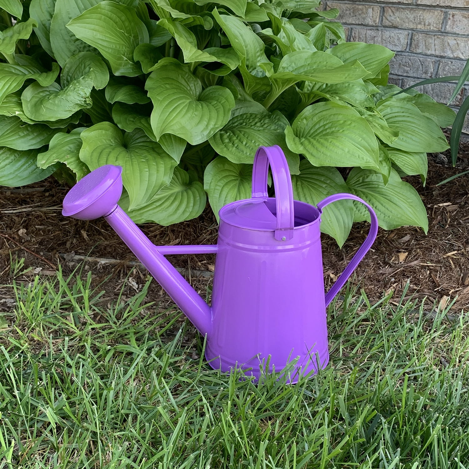 Tierra Garden 2.1 Gallon Purple Metal Watering Can