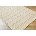 thumbnail image 1 of BoutiqueRugs Tieve Contemporary Area Rug - Champagne - 2' x 3', 1 of 6
