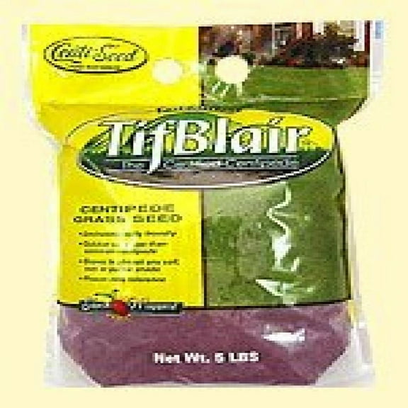 Tifblair Centipede Grass Certified Seeds - 5 Lbs.