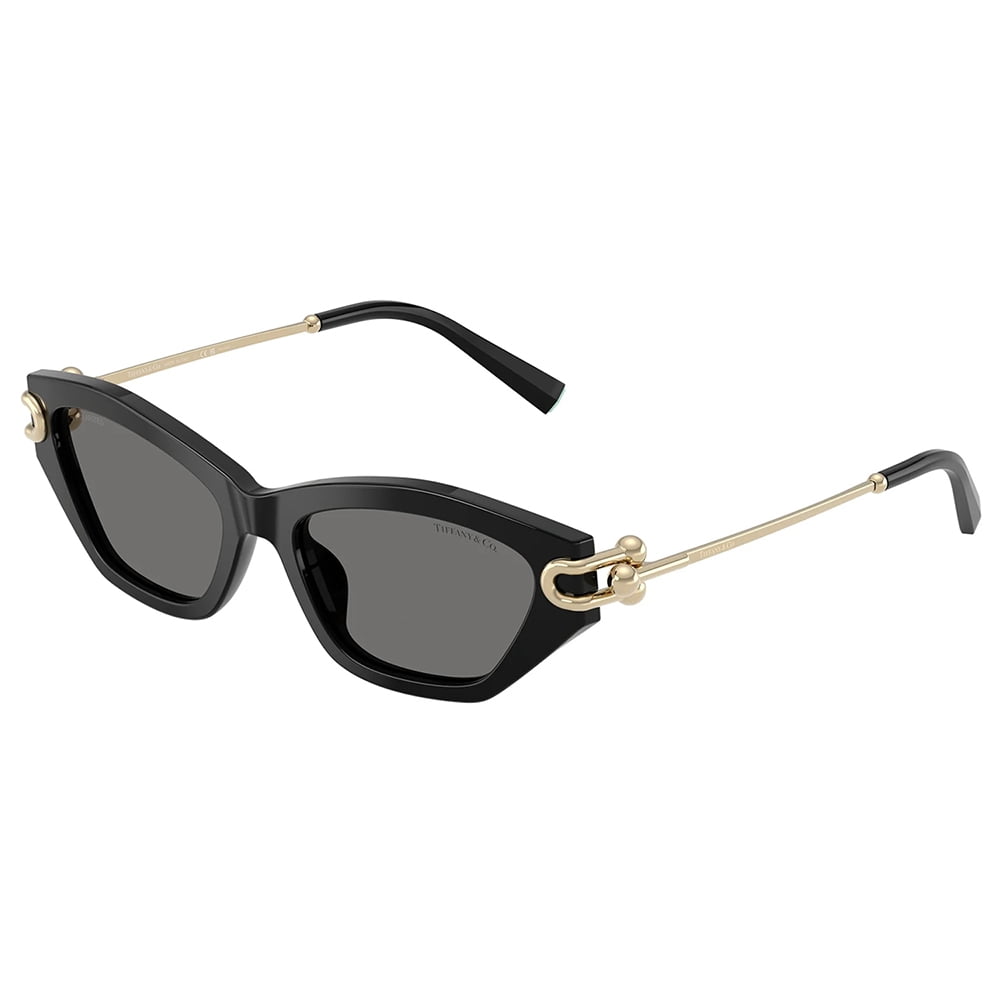 Tiffany & Co. TF 4231U Plastic Womens Cat-Eye Polarized  display picture 1