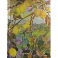 thumbnail image 1 of Tiffany Lemon Tree Journal, (Paperback), 1 of 1