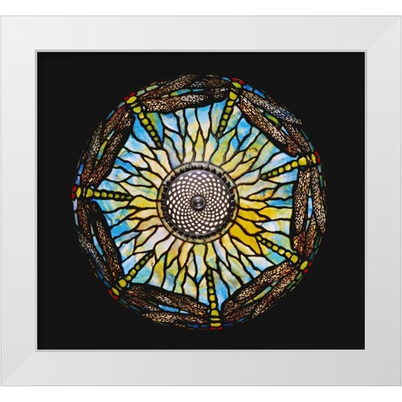 Tiffany Studios 13x12 White Modern Wood Framed Museum Art Print Titled - A Detail From a Rare Dragonfly