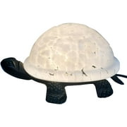 Tiffany Style Stained Glass Turtle Table lamp DYM7009