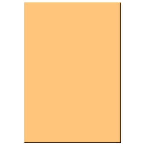 Tiffen 4x5.65" 5 Coral Solid Color Filter