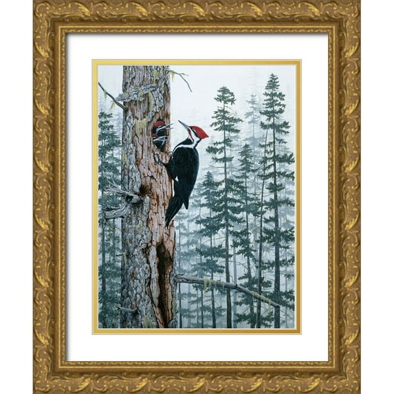 Tift, Jeff 11x14 Gold Ornate Wood Framed with Double Matting Museum Art Print Titled - Piliated Woodpeckers