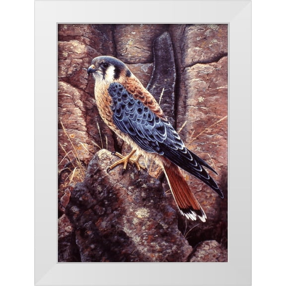 Tift, Jeff 11x14 White Modern Wood Framed Museum Art Print Titled - Kestral