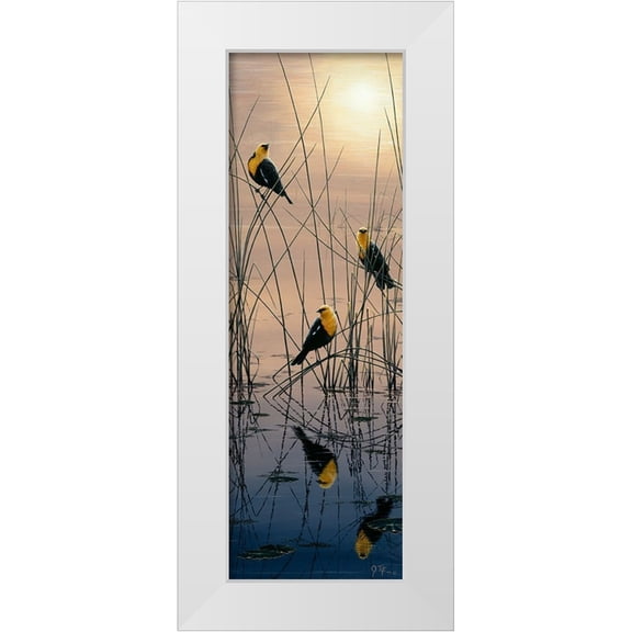Tift, Jeff 13x32 White Modern Wood Framed Museum Art Print Titled - Morning Call - Yellow Headed Blackbirds