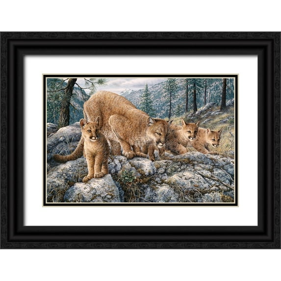 Tift, Jeff 14x11 Black Ornate Wood Framed with Double Matting Museum Art Print Titled - Cat Family
