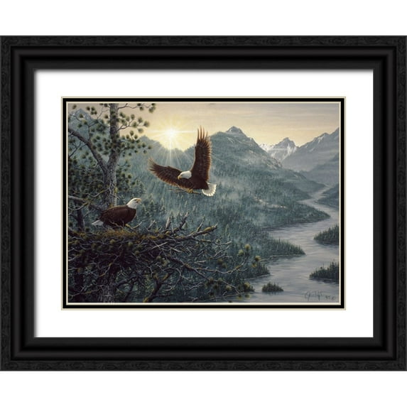 Tift, Jeff 14x11 Black Ornate Wood Framed with Double Matting Museum Art Print Titled - Eagles Nest