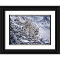 thumbnail image 1 of Tift, Jeff 14x11 Black Ornate Wood Framed with Double Matting Museum Art Print Titled - Snow Leopard, 1 of 4