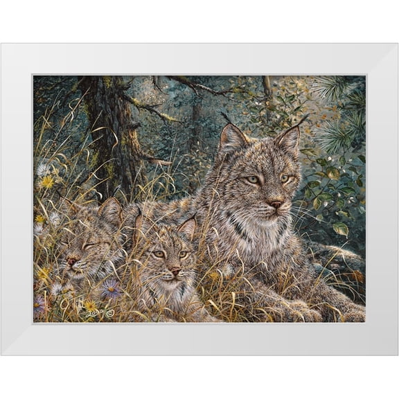 Tift, Jeff 14x11 White Modern Wood Framed Museum Art Print Titled - A Quiet Moment