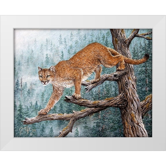 Tift, Jeff 14x12 White Modern Wood Framed Museum Art Print Titled - High Climber