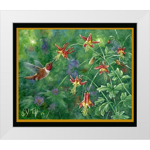 Tift, Jeff 14x12 White Modern Wood Framed Museum Art Print Titled - Rufous Hummingbird