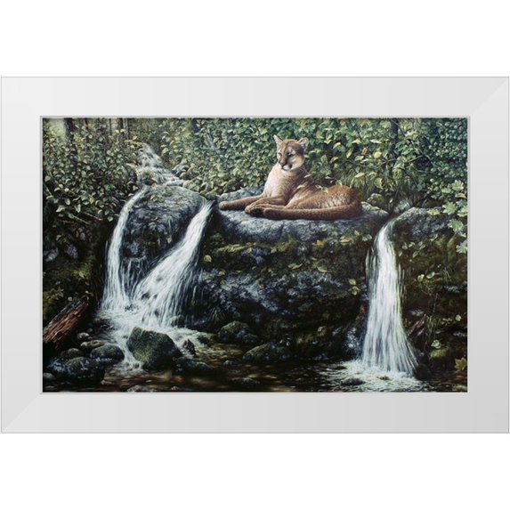 Tift, Jeff 18x13 White Modern Wood Framed Museum Art Print Titled - Solitude