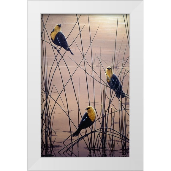 Tift, Jeff 21x32 White Modern Wood Framed Museum Art Print Titled - Yellow Headed B Birds