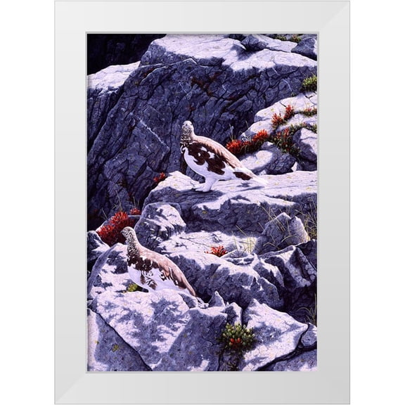 Tift, Jeff 23x32 White Modern Wood Framed Museum Art Print Titled - White-Tailed Ptarmigan