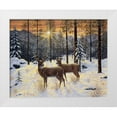 thumbnail image 1 of Tift, Jeff 24x20 White Modern Wood Framed Museum Art Print Titled - Evening Silence, 1 of 4
