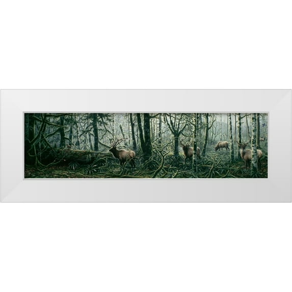 Tift, Jeff 24x9 White Modern Wood Framed Museum Art Print Titled - Enchanted Forest