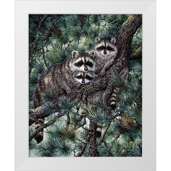Tift, Jeff 26x32 White Modern Wood Framed Museum Art Print Titled - Racoons