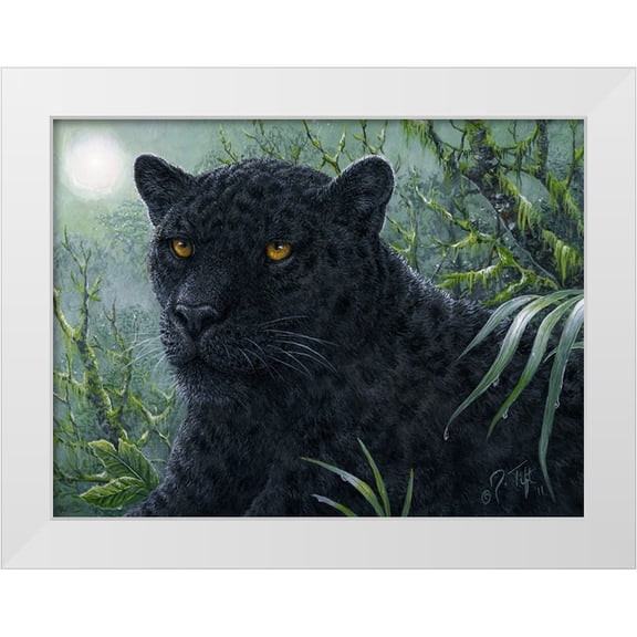 Tift, Jeff 32x25 White Modern Wood Framed Museum Art Print Titled - Black Beauty