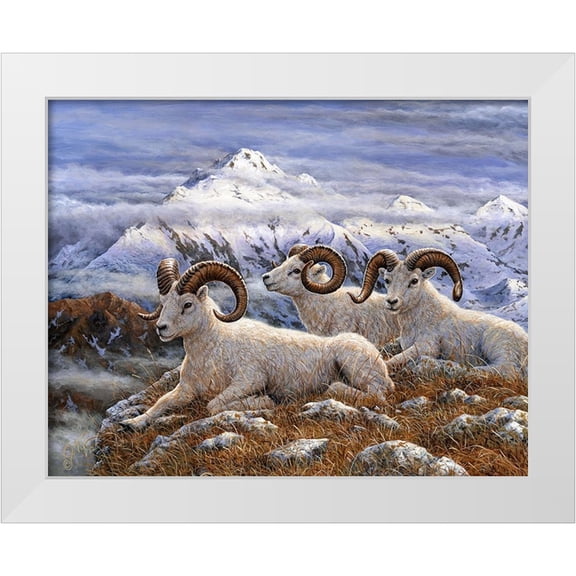 Tift, Jeff 32x26 White Modern Wood Framed Museum Art Print Titled - Denali Rams