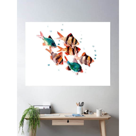 Tiger Barb Aquarium Fish Poster Wall Art, Modern Wall Decor For Living Room Bedroom, 24x36 UNFRAMED