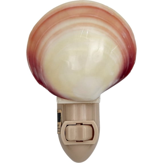 Tiger Clam Polished Natural Shell LED Night Light